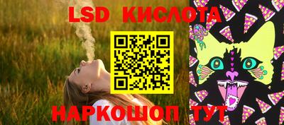 шишки Тайшет