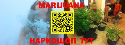 шишки Тайшет