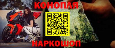 шишки Тайшет
